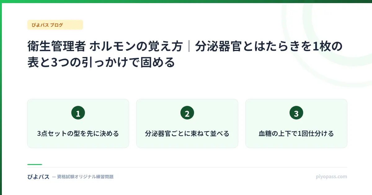 衛生管理者 ホルモンの覚え方｜分泌器官とはたらきを1枚の表と3つの引っかけで固める