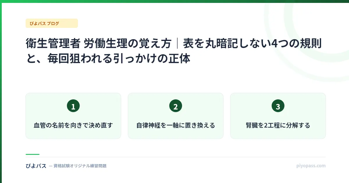 衛生管理者 労働生理の覚え方｜表を丸暗記しない4つの規則と、毎回狙われる引っかけの正体