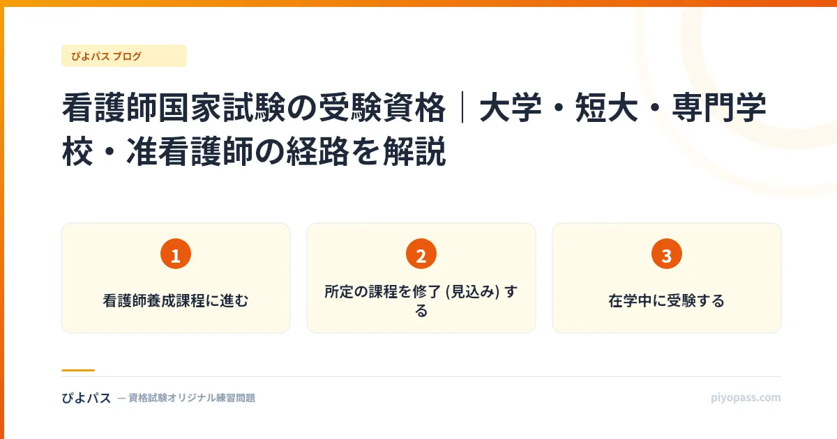 看護師国家試験の受験資格｜大学・短大・専門学校・准看護師の経路を解説