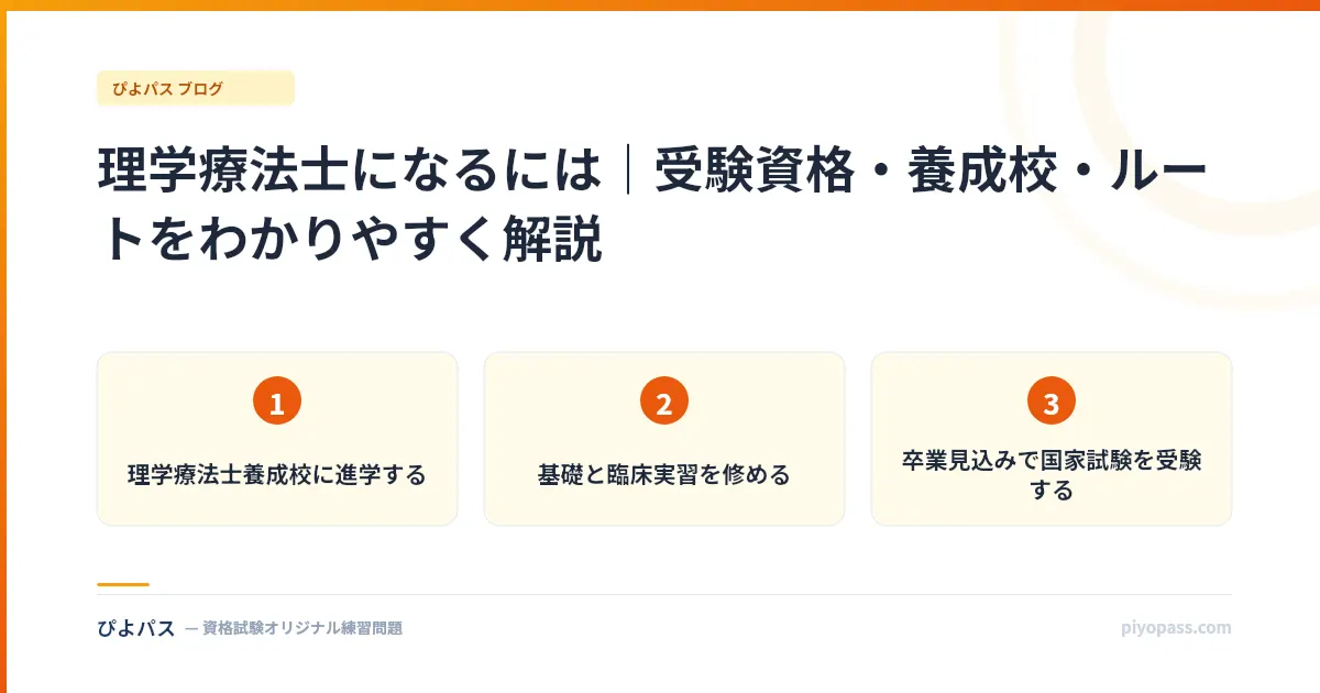 理学療法士になるには｜受験資格・養成校・ルートをわかりやすく解説