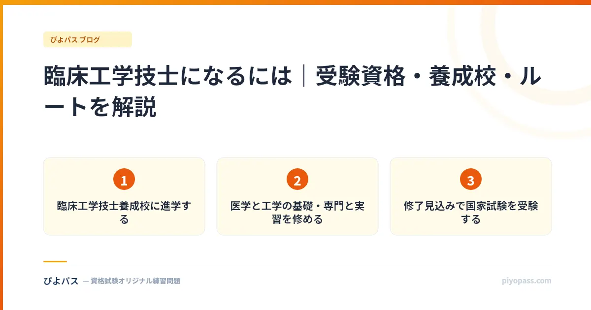 臨床工学技士になるには｜受験資格・養成校・ルートを解説