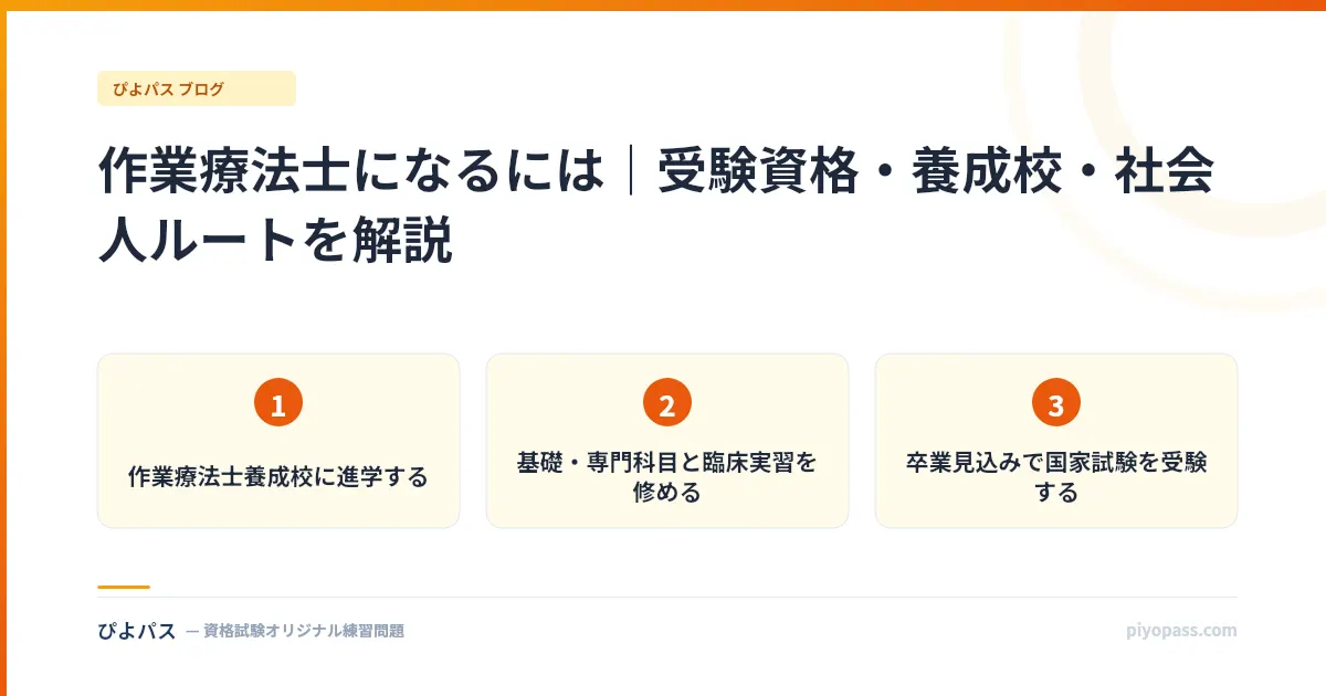 作業療法士になるには｜受験資格・養成校・社会人ルートを解説