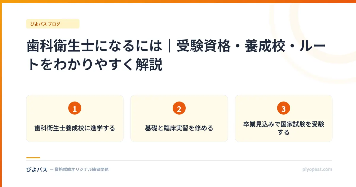 歯科衛生士になるには｜受験資格・養成校・ルートをわかりやすく解説