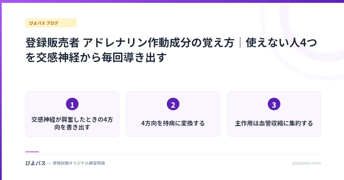 登録販売者 アドレナリン作動成分の覚え方|使えない人4つを交感神経から毎回導き出す